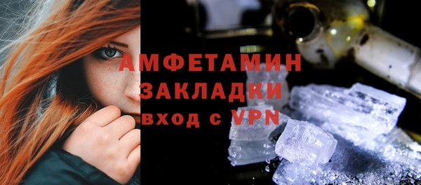 шишки Гусиноозёрск