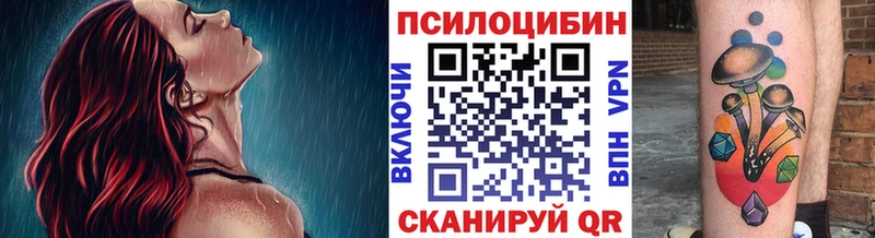 купить  цена  Приволжск  Галлюциногенные грибы прущие грибы 